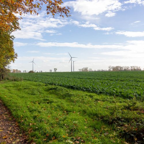 Visualisierung von geplanten Windkraftanlagen für die Standortüberprüfung und deren Auswirkungen auf das Landschaftsbild.