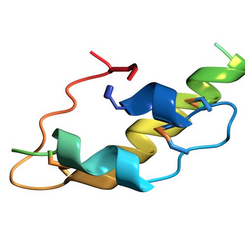 3D Visualisierung: Insulin glulisin, als abstrahierte Darstellung.